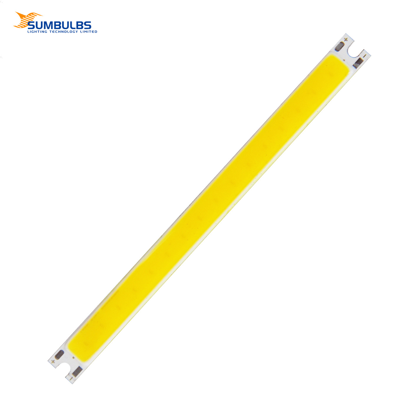 [SUMBULBS] 12V DC LED COB ampo - Diy Lamp Electronics avis et prix